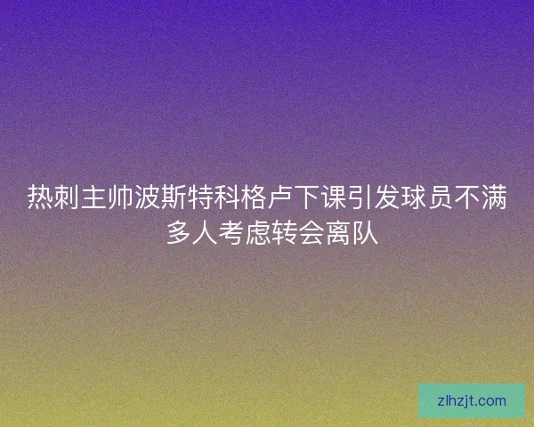 热刺主帅波斯特科格卢下课引发球员不满 多人考虑转会离队